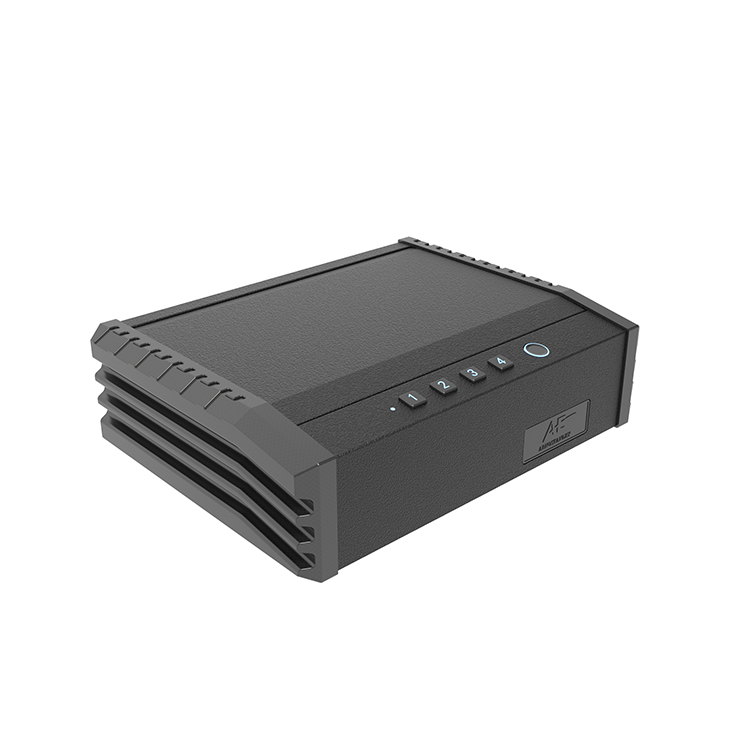 PS0110 Biometrische pistoolkluis met 2 pistolen en toptoegang