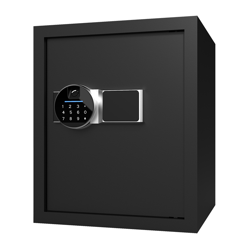 BS0142 40L biometrische huiskluis