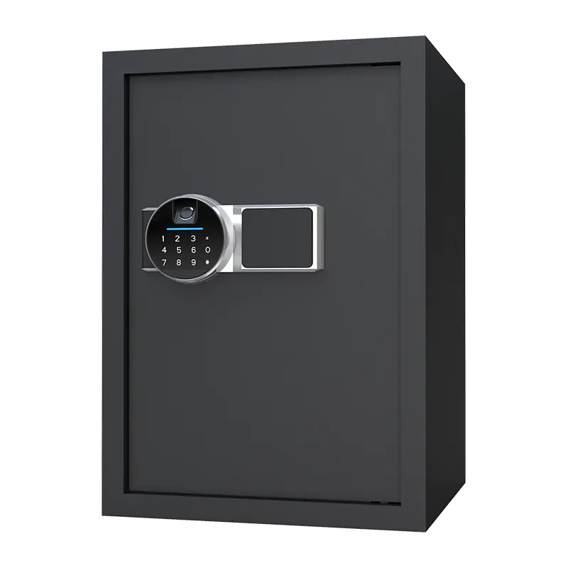 BS0150 48L biometrische huiskluis