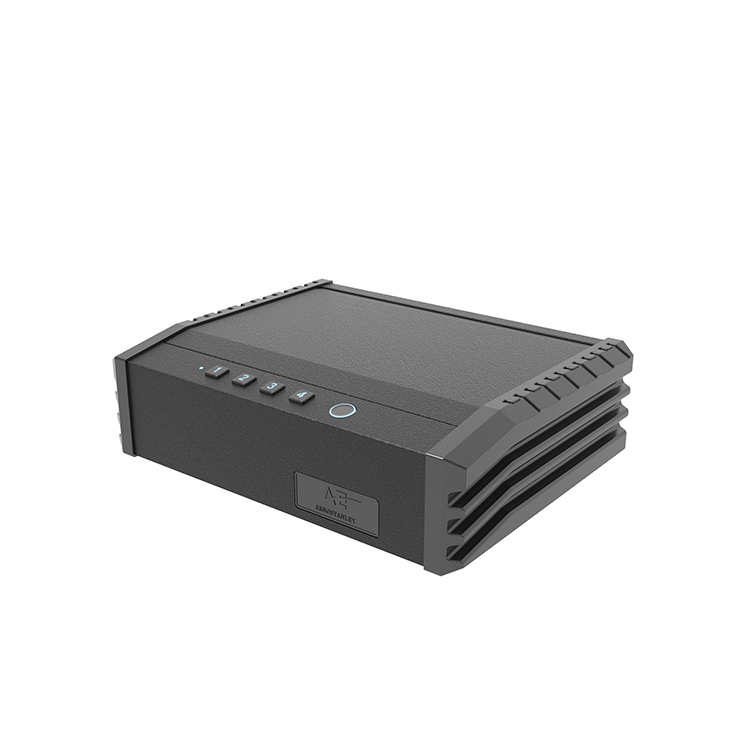 PS0110 Biometrische pistoolkluis met 2 pistolen en toptoegang